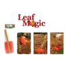 Leaf Magic Garden Yard Tool