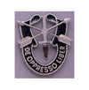 Special Forces Crest Pin