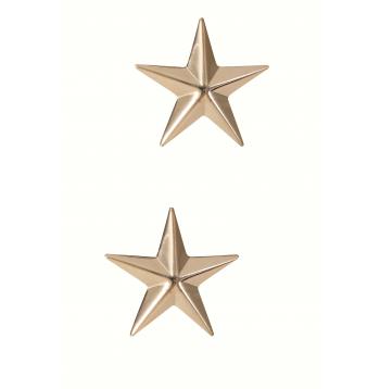 Brigadier General Insignia Stars