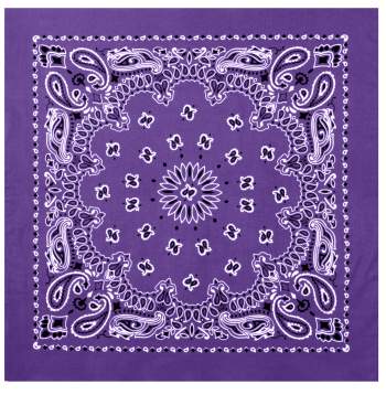 Trainmen Paisley Bandana – Extra-Large 27” X 27"