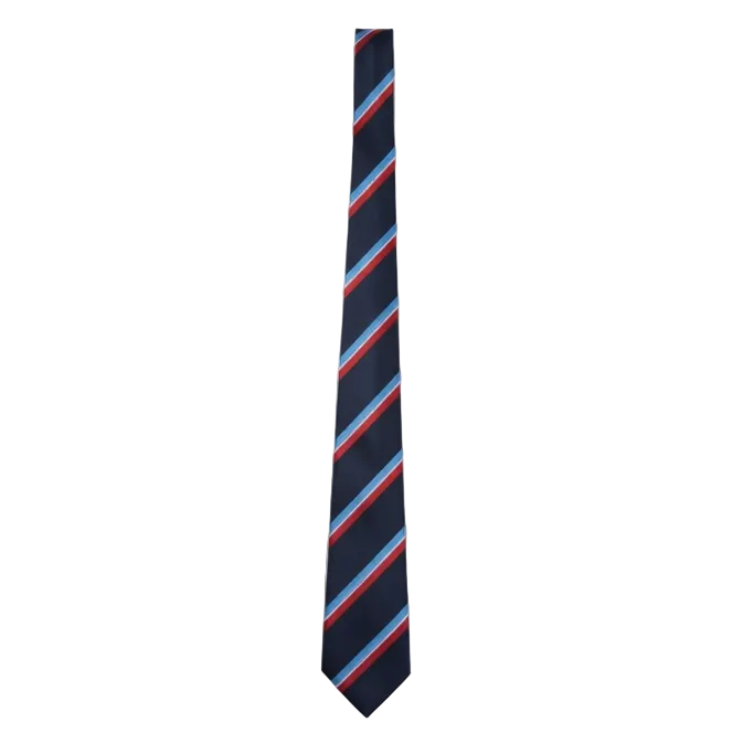 Military Striped Tie