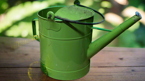 Large Metal Watering Can by C Wonder *New*