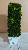 Indoor Tall Artificial Topiary Plant * C Wonder* New