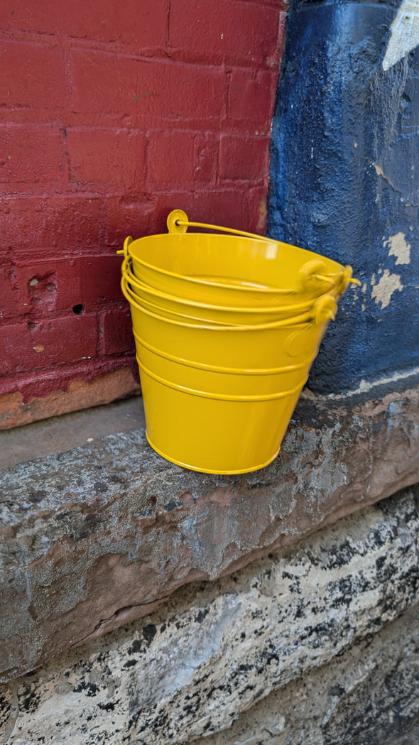 Planter Bucket C Wonder *New*