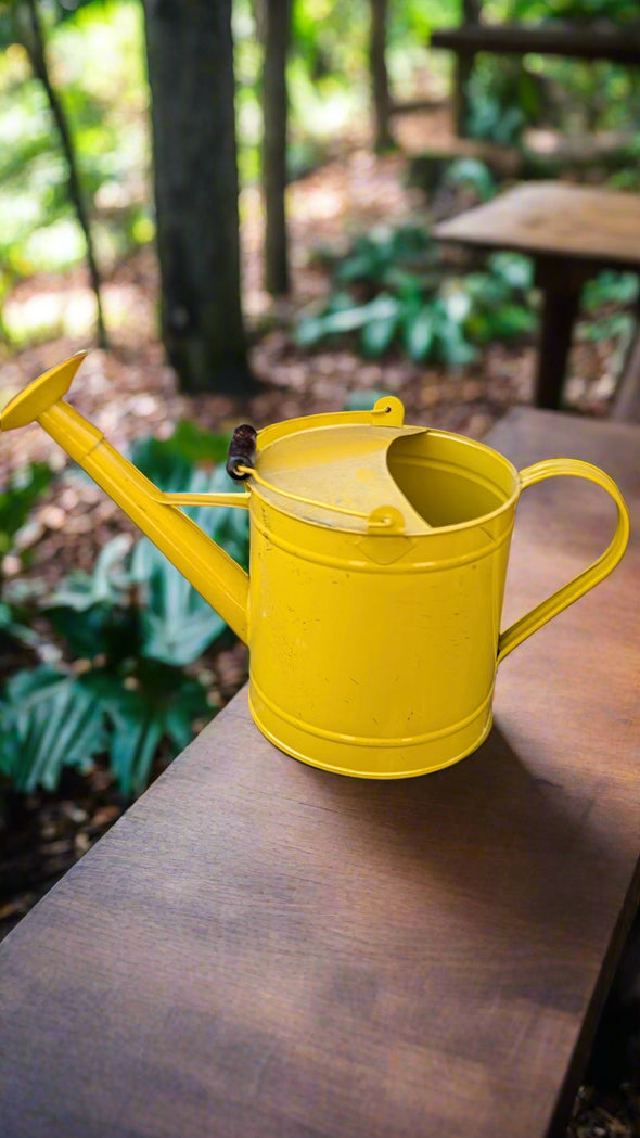 Large Metal Watering Can by C Wonder *New*