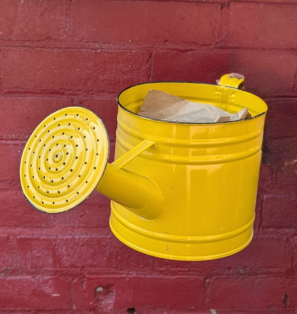 Metal Watering Can *C Wonder* New