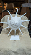 Large Ceramic Sunshine Conch Shell Sculpture