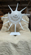 Large Ceramic Sunshine Conch Shell Sculpture