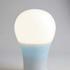MEDIUM: GE Soft White(A19) 40W LED Light Bulbs