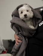 Authentic 1950's Canadian Civil Defense Wool Blanket, Brand New *Very RARE*