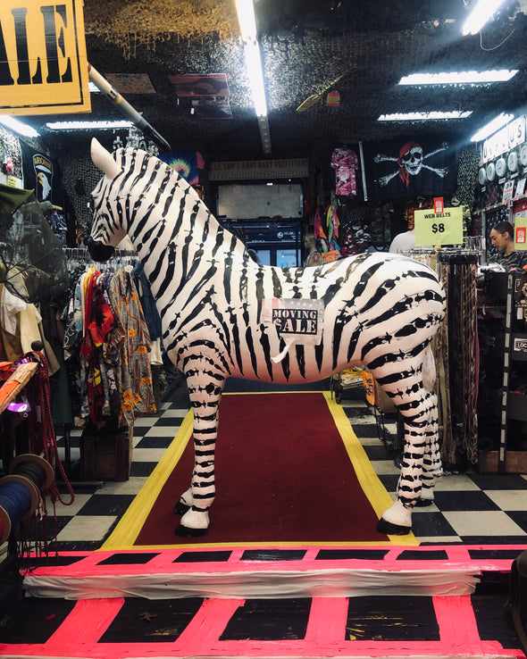Wait...is that a Zebra in an Army Navy Store?????