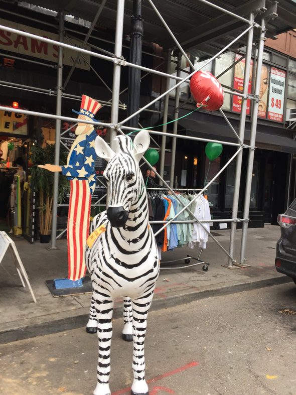 Wait...is that a Zebra in an Army Navy Store?????